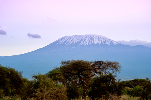 Lemosho Route Kilimanjaro