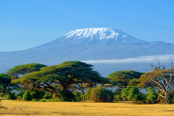 Marangu Route Kilimanjaro